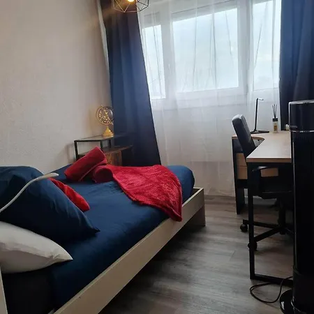 Cosy Calme Et Entierement Renove Apartment Belfort